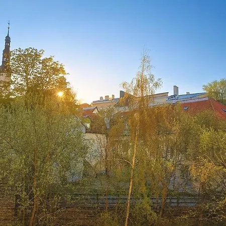 Daire Old Town, Next To Town Hall Square, Quiet, Infrared Sauna