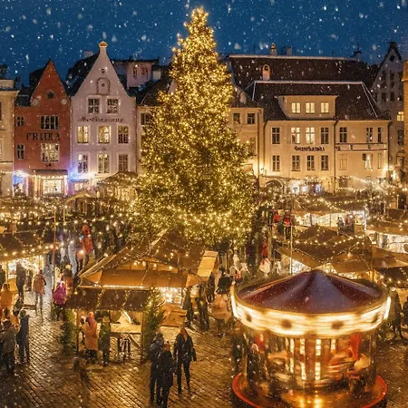 Daire Old Town, Next To Town Hall Square, Quiet, Infrared Sauna *